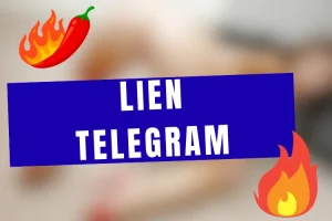 Lire la suite à propos de l’article Lien Telegram Ufc Fight Night